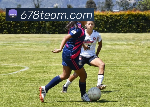 678体育官网平台生态图